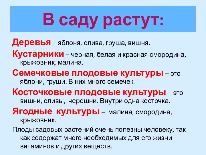 В саду растут: Деревья – яблоня, слива, груша, вишня. Кустарники – черная,