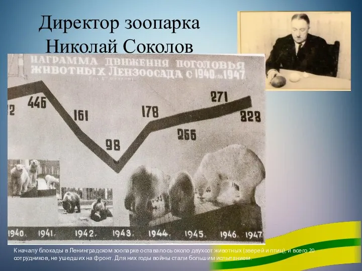 Директор зоопарка Николай Соколов К началу блокады в Ленинградском зоопарке оставалось около