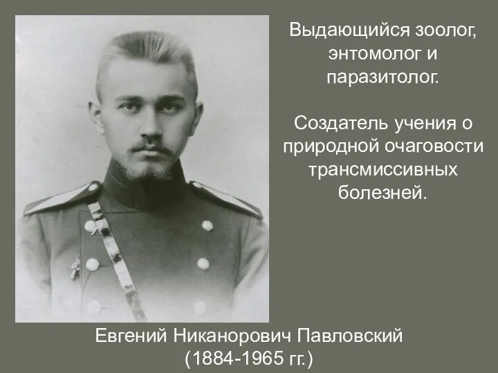 Евгений Никанорович Павловский (1884-1965 гг.) Выдающийся зоолог, энтомолог и паразитолог. Создатель учения