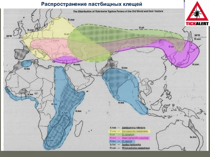 Распространение пастбищных клещей