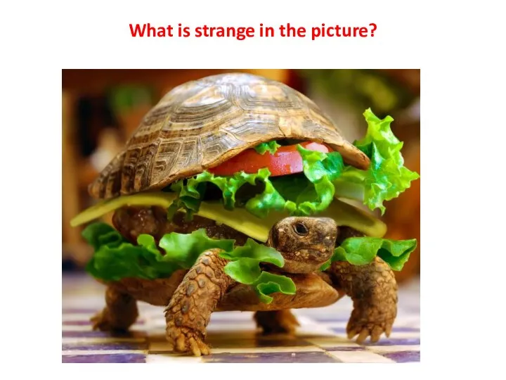 What is strange in the picture?