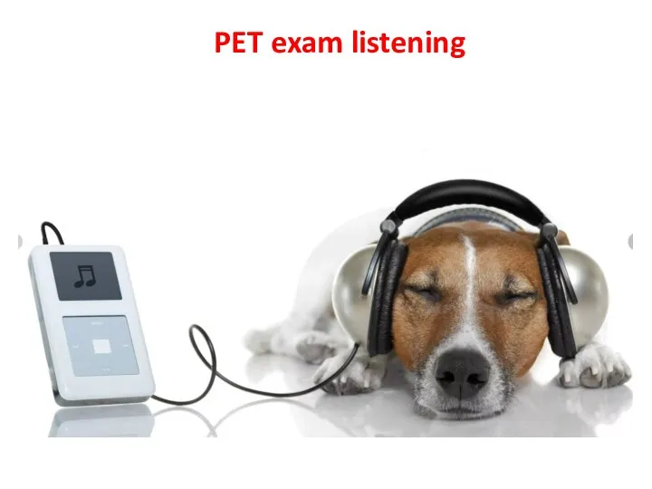PET exam listening