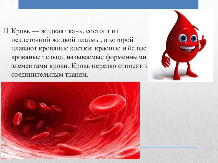 Кровь — жидкая ткань, состоит из неклеточной жидкой плазмы, в которой плавают