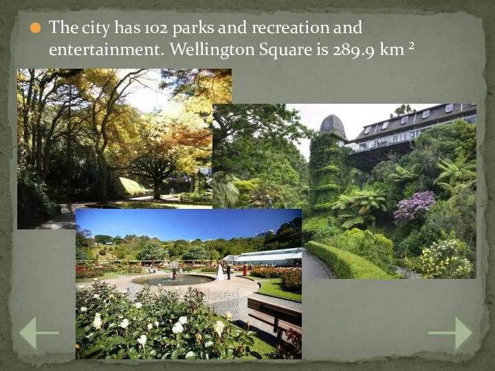 The city has 102 parks and recreation and entertainment. Wellington Square is 289.9 km ²