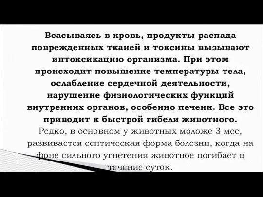 Всасываясь в кровь, продукты распада поврежденных тканей и токсины вызывают интоксикацию организма.