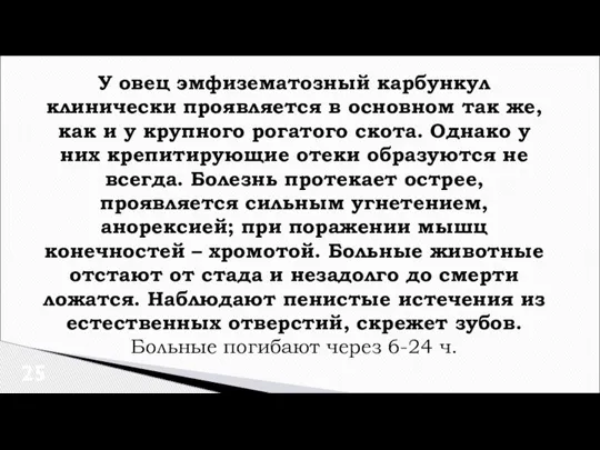 У овец эмфизематозный карбункул клинически проявляется в основном так же, как и