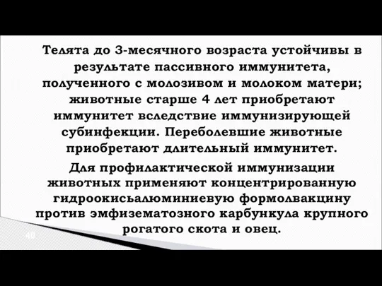 Телята до 3-месячного возраста устойчивы в результате пассивного иммунитета, полученного с молозивом