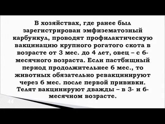 В хозяйствах, где ранее был зарегистрирован эмфизематозный карбункул, проводят профилактическую вакцинацию крупного