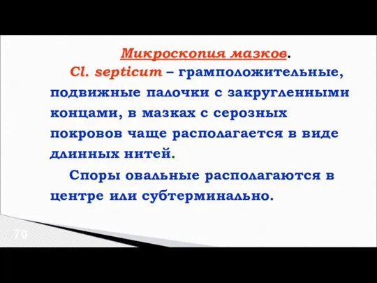 Микроскопия мазков. Cl. septicum – грамположительные, подвижные палочки с закругленными концами, в