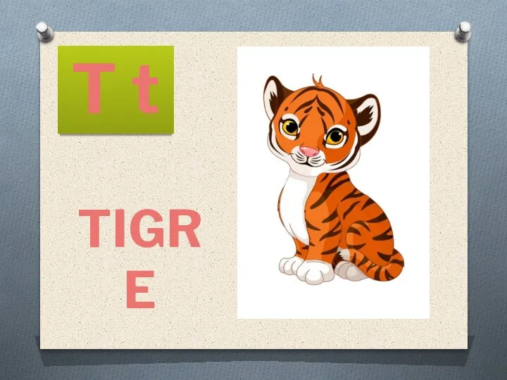 T t TIGRE