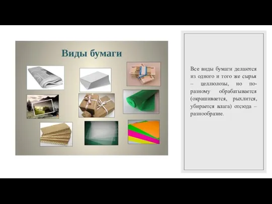 Все виды бумаги делаются из одного и того же сырья – целлюлозы,