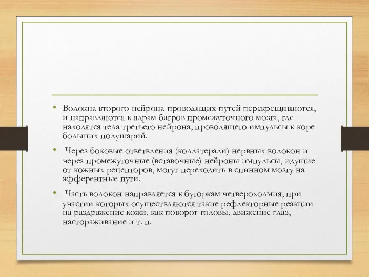 Волокна второго нейрона проводящих путей перекрещиваются, и направляются к ядрам багров промежуточного