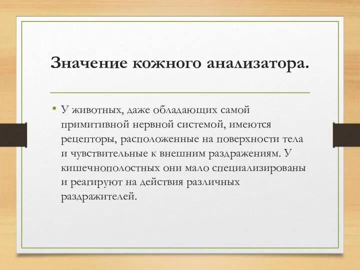 Значение кожного анализатора. У животных, даже обладающих самой примитивной нервной системой, имеются