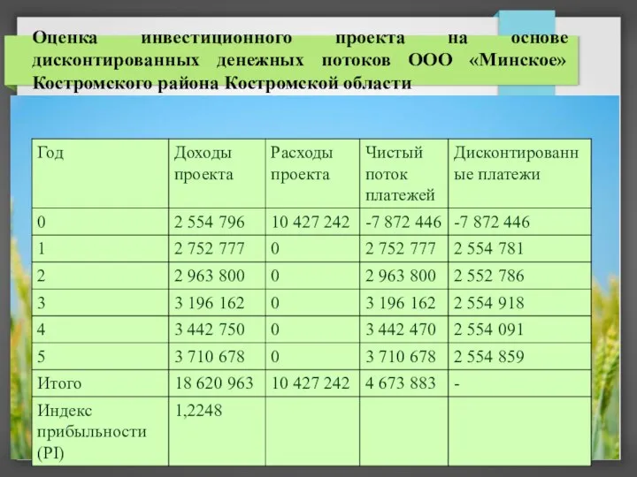 Оценка инвестиционного проекта на основе дисконтированных денежных потоков ООО «Минское» Костромского района Костромской области