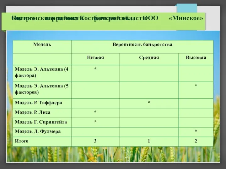 Оценка вероятности банкротства ООО «Минское» Костромского района Костромской области