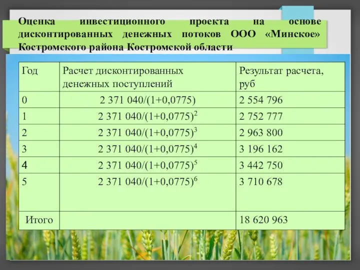 Оценка инвестиционного проекта на основе дисконтированных денежных потоков ООО «Минское» Костромского района Костромской области