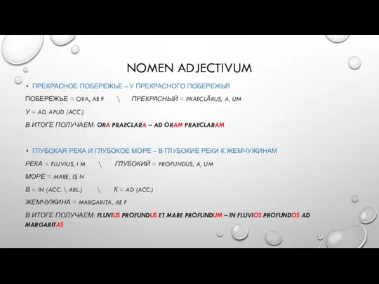 NOMEN ADJECTIVUM ПРЕКРАСНОЕ ПОБЕРЕЖЬЕ – У ПРЕКРАСНОГО ПОБЕРЕЖЬЯ ПОБЕРЕЖЬЕ = ORA, AE