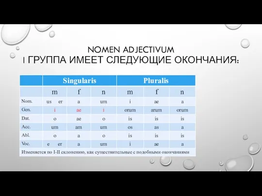 NOMEN ADJECTIVUM I ГРУППА ИМЕЕТ СЛЕДУЮЩИЕ ОКОНЧАНИЯ: