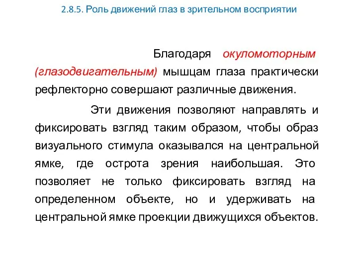 2.8.5. Роль движений глаз в зрительном восприятии Благодаря окуломоторным (глазодвигательным) мышцам глаза