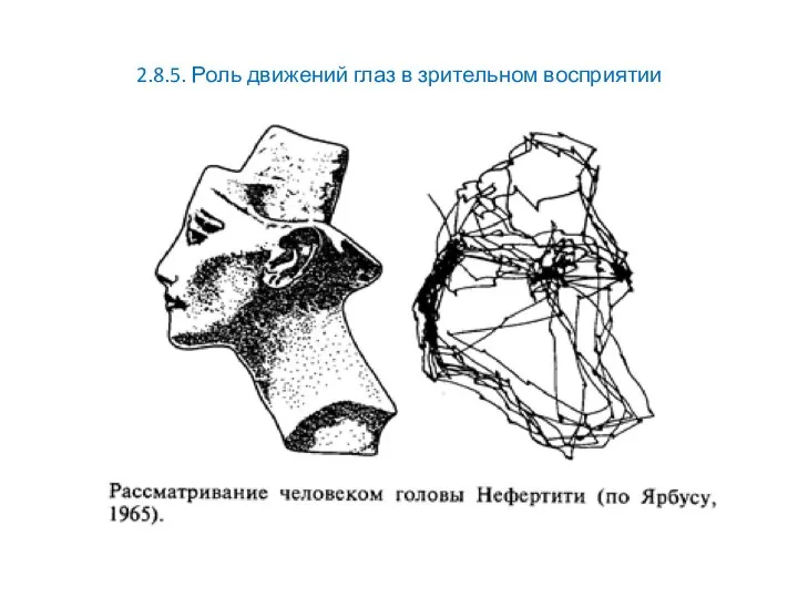 2.8.5. Роль движений глаз в зрительном восприятии