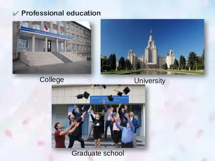 Professional education College University Graduate school