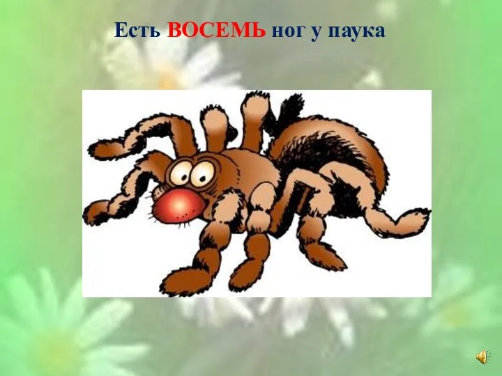 Есть ВОСЕМЬ ног у паука