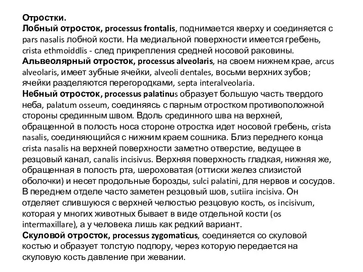 Отростки. Лобный отросток, processus frontalis, поднимается кверху и соединяется с pars nasalis