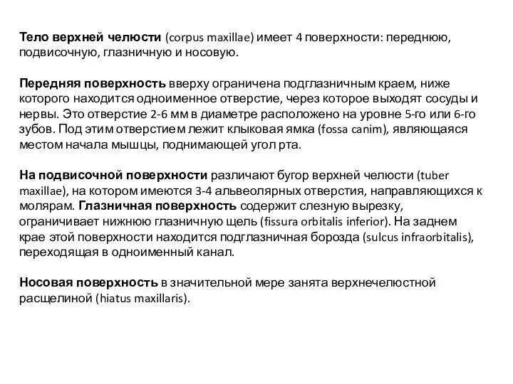 Тело верхней челюсти (corpus maxillae) имеет 4 поверхности: переднюю, подвисочную, глазничную и