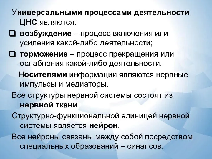 Универсальными процессами деятельности ЦНС являются: возбуждение – процесс включения или усиления какой-либо