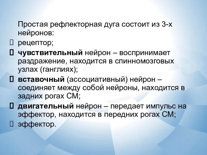 Простая рефлекторная дуга состоит из 3-х нейронов: рецептор; чувствительный нейрон – воспринимает