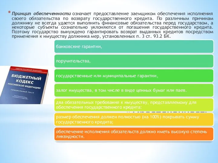 Обеспеченность Принцип обеспеченности означает предоставление заемщиком обеспечения исполнения своего обязательства по возврату