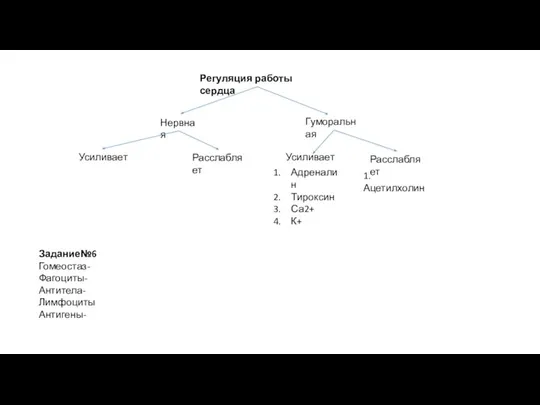 Регуляция работы сердца Нервная Гуморальная Усиливает Расслабляет Усиливает Расслабляет Адреналин Тироксин Са2+