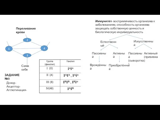 Переливание крови 2 3 4 Сама себе 1 Донор- Акцептор- Агглютинация- ЗАДАНИЕ