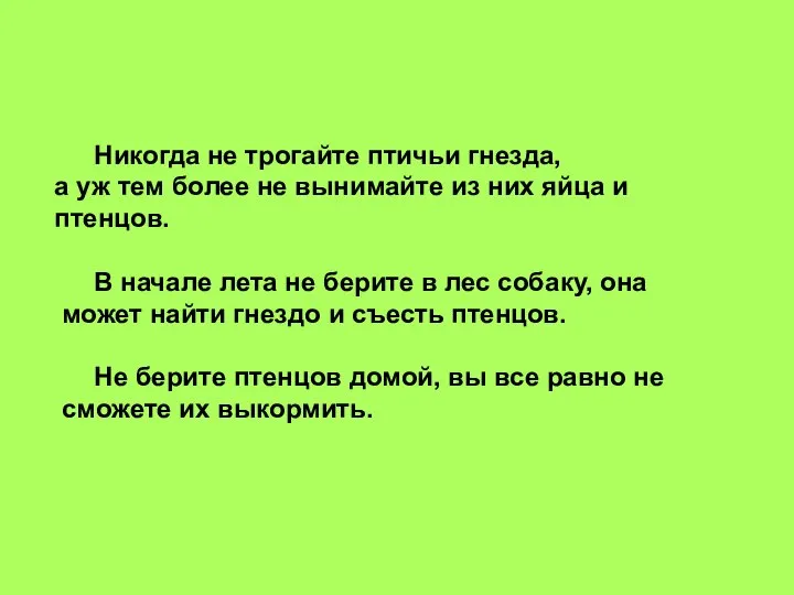 Никогда не трогайте птичьи гнезда, а уж тем более не вынимайте из