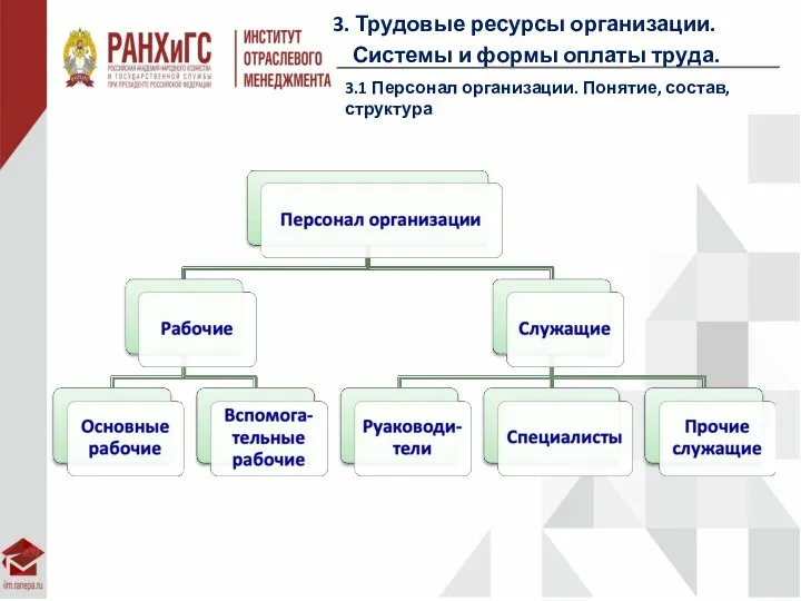 3. Трудовые ресурсы организации. Системы и формы оплаты труда. 3.1 Персонал организации. Понятие, состав, структура