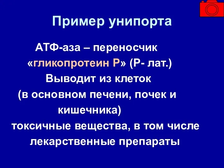 Пример унипорта АТФ-аза – переносчик «гликопротеин Р» (Р- лат.) Выводит из клеток