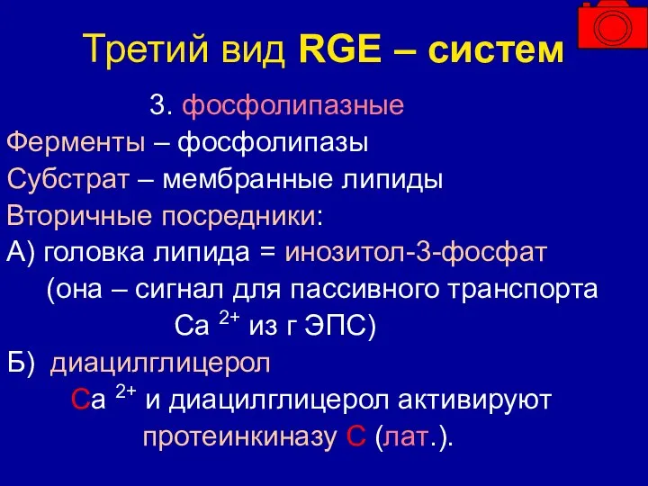 Третий вид RGE – систем 3. фосфолипазные Ферменты – фосфолипазы Субстрат –