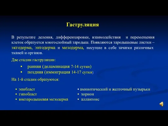 Гаструляция В результате деления, дифференцировки, взаимодействия и перемещения клеток образуется многослойный зародыш.