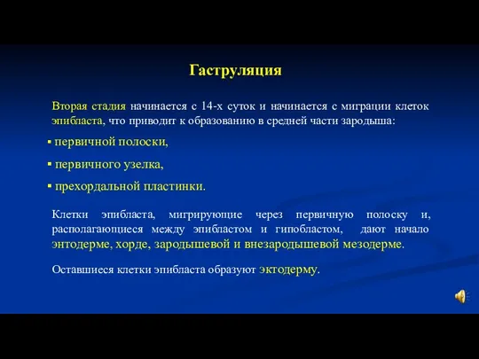 Вторая стадия начинается с 14-х суток и начинается с миграции клеток эпибласта,