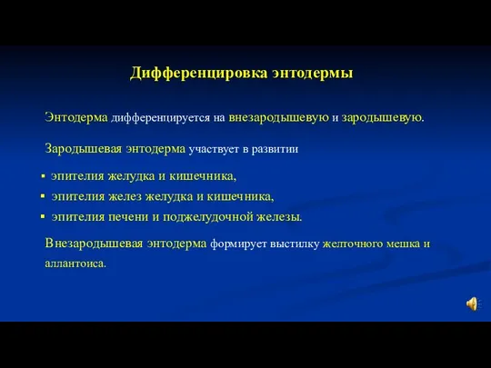 Энтодерма дифференцируется на внезародышевую и зародышевую. Зародышевая энтодерма участвует в развитии эпителия