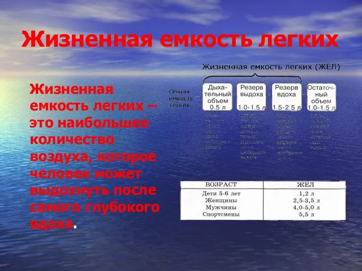 Жизненная емкость легких Жизненная емкость легких – это наибольшее количество воздуха, которое