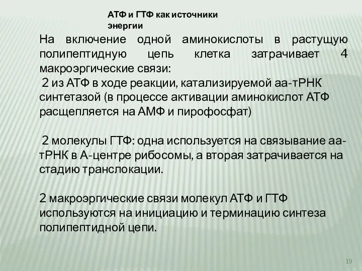 АТФ и ГТФ как источники энергии На включение одной аминокислоты в растущую