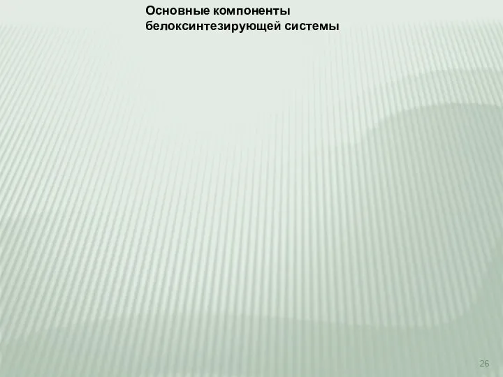 Основные компоненты белоксинтезирующей системы