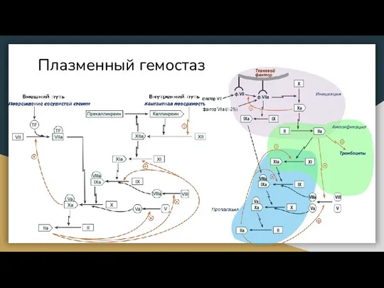 Плазменный гемостаз