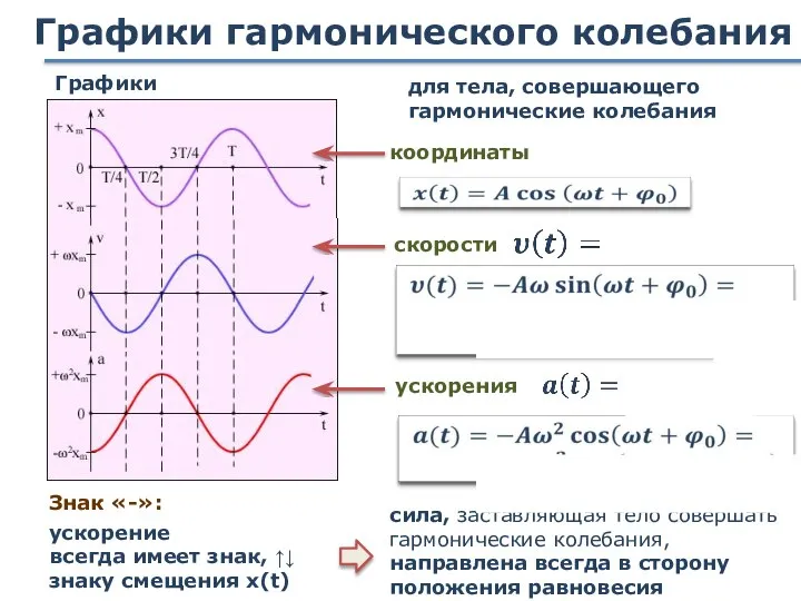 Графики гармонического колебания Графики ускорения координаты скорости для тела, совершающего гармонические колебания