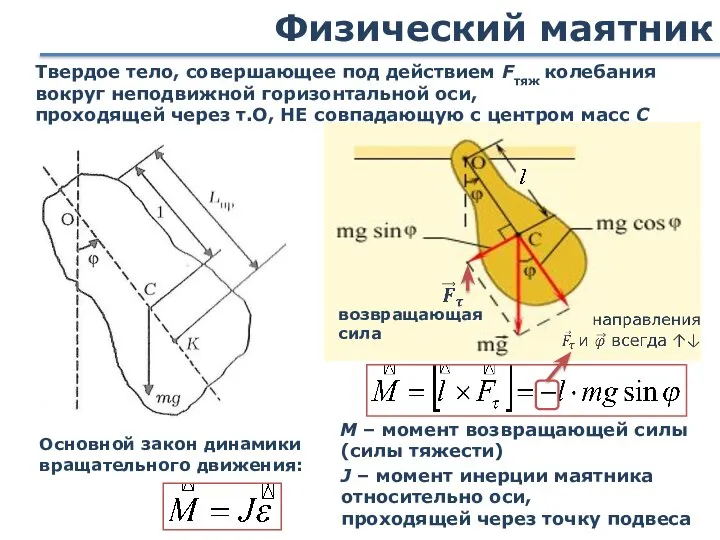 Физический маятник Твердое тело, совершающее под действием Fтяж колебания вокруг неподвижной горизонтальной