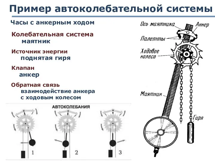 Пример автоколебательной системы Часы с анкерным ходом Колебательная система Источник энергии Клапан