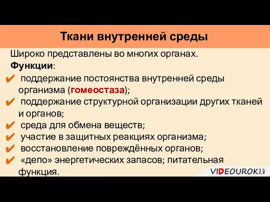 Ткани внутренней среды поддержание постоянства внутренней среды организма (гомеостаза); поддержание структурной организации