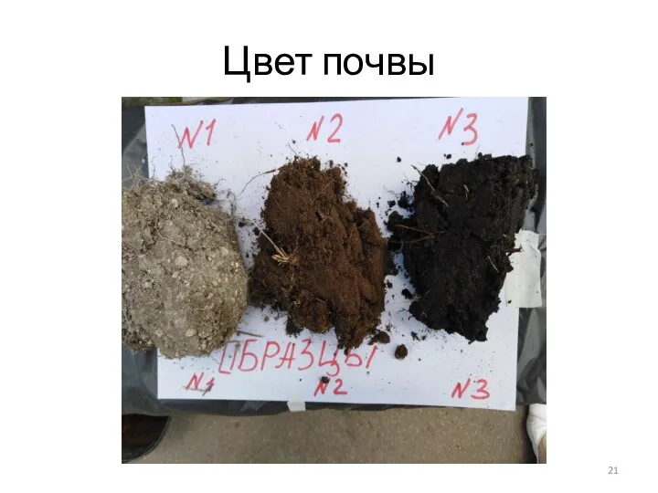 Цвет почвы