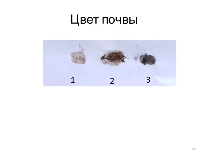 Цвет почвы 1 2 3